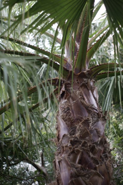 Fotografia de PabloZubiaur - Galeria Fotografica: Primera Galeria - Foto: 