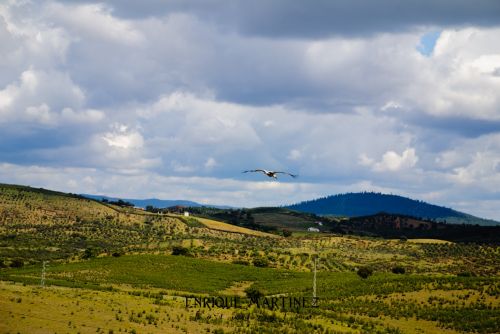 Fotografia de Enrique Martinez Fotografia - Galeria Fotografica: El Cerro de Andvalo - Foto: 