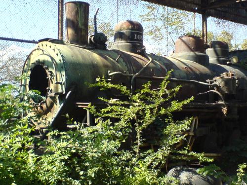Fotografia de Ricardo Gandara - Galeria Fotografica: El Tren - Foto: Chatarra y maleza