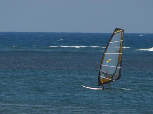 Fotografia de ALFREDO VELASCO - Galeria Fotografica: deportes - Foto: velero