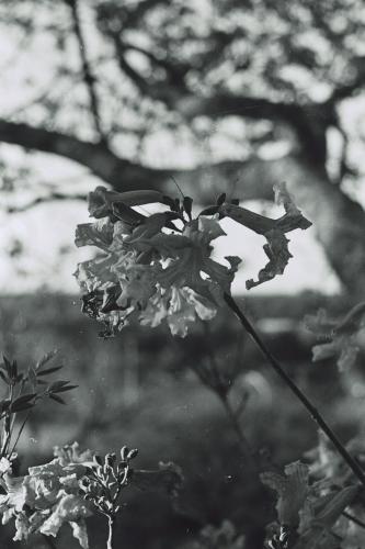 Fotografia de Maximiliano Blanco - Galeria Fotografica: Varios - Foto: 