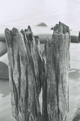 Fotografia de Maximiliano Blanco - Galeria Fotografica: Varios - Foto: 