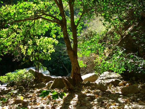 Fotografia de HHUGO - Galeria Fotografica: MI PERSPECTIVA - Foto: RESPLANDOR DE VIDA