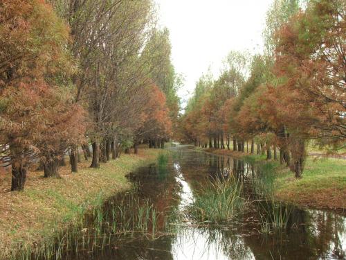 Fotografia de HHUGO - Galeria Fotografica: MI PERSPECTIVA - Foto: PAZ