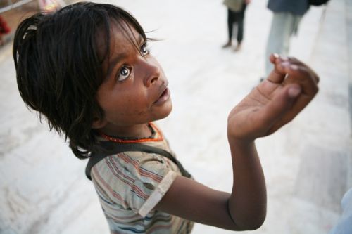 Fotografia de vincenzo - Galeria Fotografica: INDIA INCREIBLE - Foto: 