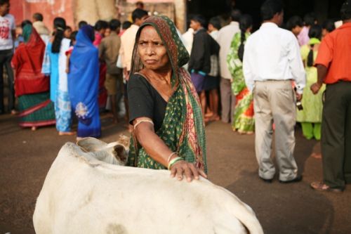 Fotografia de vincenzo - Galeria Fotografica: INDIA INCREIBLE - Foto: 