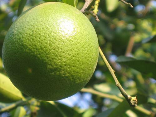 Fotografia de RIXVIIO - Galeria Fotografica: rixo - Foto: 