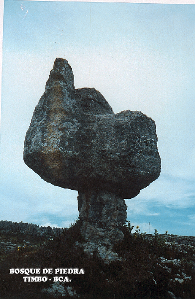 Fotografia de PINTURAS - Galeria Fotografica: mis imagenes - Foto: bosque de piedra