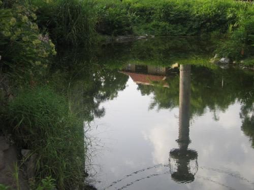 Fotografia de RIXVIIO - Galeria Fotografica: rixo - Foto: animal 2