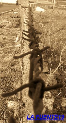 Fotografia de LA FUENTE19 - Galeria Fotografica: LA FUENTE19 - Foto: Puas