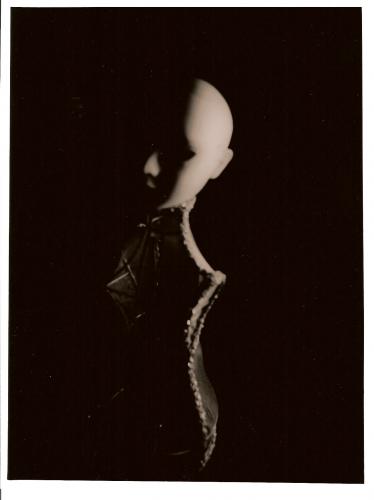 Fotografia de Amanda Lilouk - Galeria Fotografica: Varias - Foto: Suciaelegancia