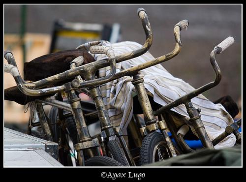 Fotografia de Ayax - Galeria Fotografica: Tormenta tropical DELTA (El circo nacional chino) - Foto: 