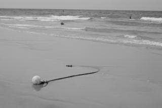 Fotografia de Fernando - Galeria Fotografica: la playa - Foto: 