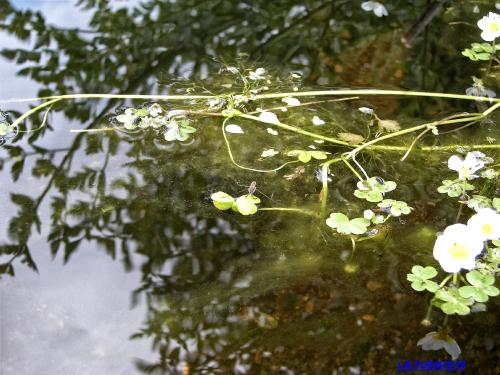 Fotografia de LA FUENTE19 - Galeria Fotografica: LA FUENTE19 - Foto: Casi II.0/5.AGUA