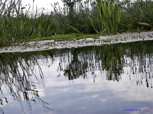Fotografia de LA FUENTE19 - Galeria Fotografica: LA FUENTE19 - Foto: Casi II 0/12.REFLEJO ,casi