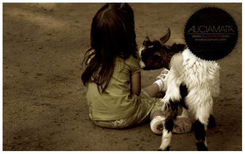 Fotografia de alicia mata - Galeria Fotografica: alicia mata. varios - Foto: chvre