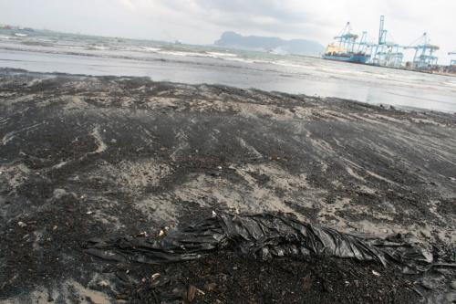Fotografia de javi galan - Galeria Fotografica: new flame, muerte y contaminacion en algeciras - Foto: 