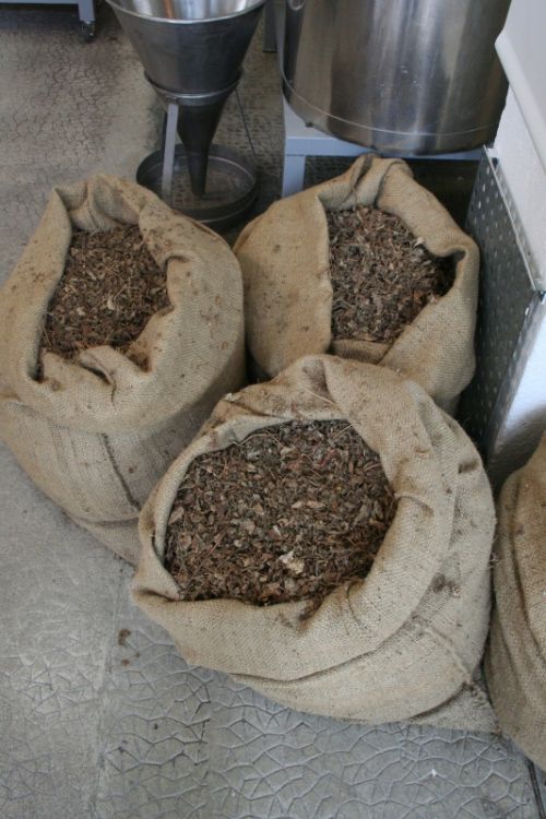 Fotografia de joan - Galeria Fotografica: pel mon - Foto: 