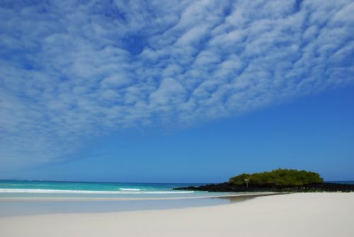 Fotografia de Mundografias - Galeria Fotografica: Islas Galpagos, 50 aos protegiendo el Paraiso - Foto: Tortuga Bay, una playa para robinsones