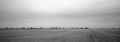 Fotografia de J.Fdez.Len - Galeria Fotografica: Reflejos - Foto: Villalba de Los Alcores, Valladolid