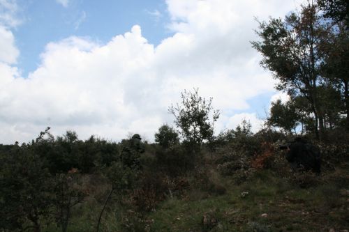 Fotografia de Kurago - Galeria Fotografica: Curso Piloto. Practicas de combate simulado - Foto: 