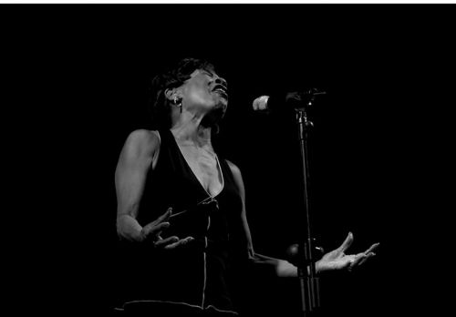 Fotografia de G.Cotarelo - Galeria Fotografica: Jazz en B&W - Foto: 