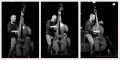 Fotos de G.Cotarelo -  Foto: Jazz en B&W - 