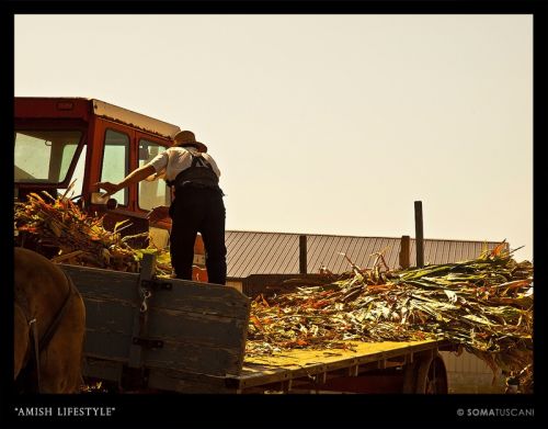 Fotografia de SOMATUSCANI - Galeria Fotografica: USA - Foto: 