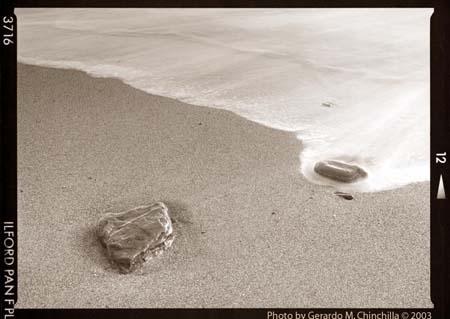 Fotografia de Gerardo M.Chinchilla - Galeria Fotografica: Naturaleza y fauna - Foto: el tiempo