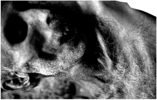 Fotografia de MNCA . Photographe - Galeria Fotografica: Abandono y Muerte - Foto: Abandono y Muerte