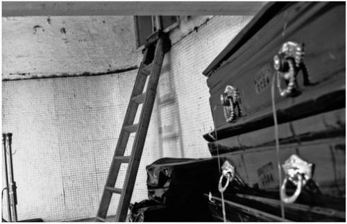 Fotografia de MNCA . Photographe - Galeria Fotografica: Abandono y Muerte - Foto: Abandono y Muerte