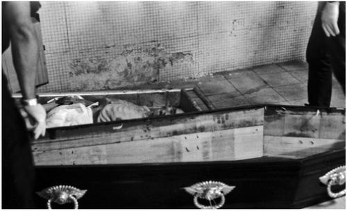 Fotografia de MNCA . Photographe - Galeria Fotografica: Abandono y Muerte - Foto: Abandono y Muerte