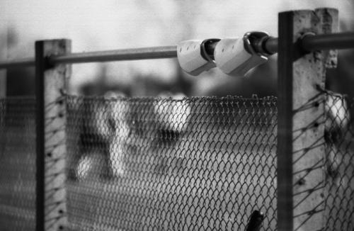 Fotografia de MNCA . Photographe - Galeria Fotografica: Hockey sobre cesped - Foto: Hockey Femenino