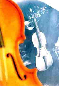 Fotografia de monsedelcampo - Galeria Fotografica: Monse del Campo - Foto: sin