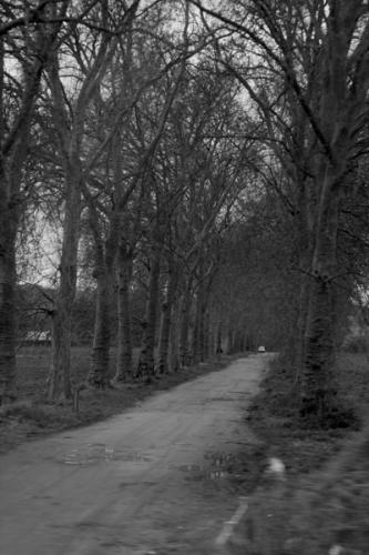 Fotografia de victor diaz - Galeria Fotografica: paris - Foto: 