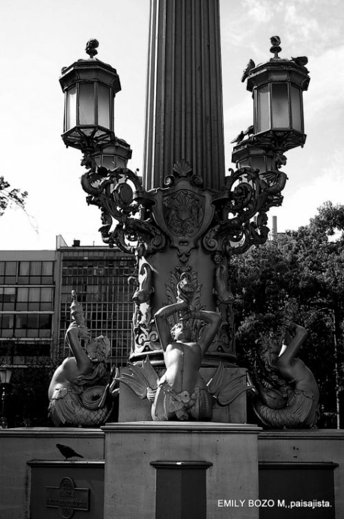 Fotografia de emily Bozo fotograafo chilena - Galeria Fotografica:  los contrastes - Foto: 