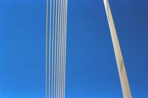 Fotografia de J. M. F. Coutinho - Galeria Fotografica: Filosografias - Foto: Harpa