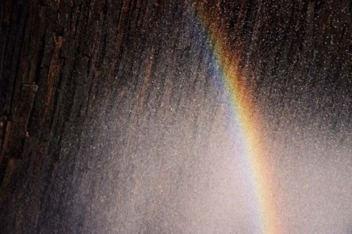 Fotografia de J. M. F. Coutinho - Galeria Fotografica: Filosografias - Foto: 