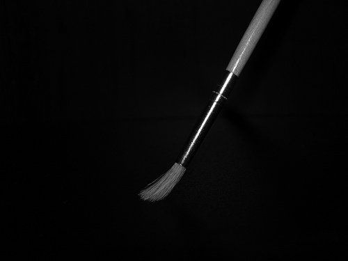 Fotografia de Yara - Galeria Fotografica: Mis Fotos - Foto: 