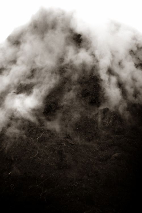 Fotografia de i. bereciartu - Galeria Fotografica: serie 