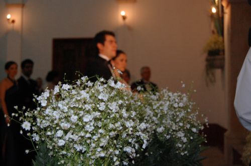 Fotografia de Diana Do de O - Galeria Fotografica: algo mas de fiestas... - Foto: 