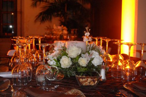 Fotografia de Diana Do de O - Galeria Fotografica: algo mas de fiestas... - Foto: 