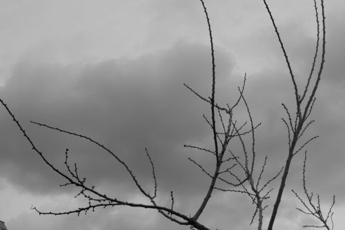 Fotografia de Bolao - Galeria Fotografica: Monocolor - Foto: Inmensidad