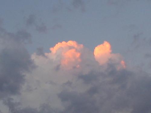 Fotografia de GEC - Galeria Fotografica: Nubes - Foto: Parece una explosion