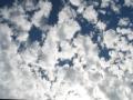 Fotos de GEC -  Foto: Nubes - Motas de algodon