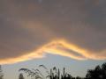 Foto de  GEC - Galería: Nubes - Fotografía: Cubriendo al cielo
