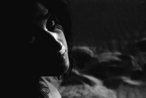 Fotografia de fotolapierre - Galeria Fotografica: nova - Foto: 