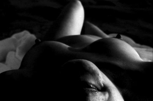 Fotografia de fotolapierre - Galeria Fotografica: nova - Foto: 