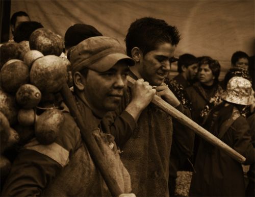 Fotografia de F.J.P - Galeria Fotografica: Calabaceros - Foto: 