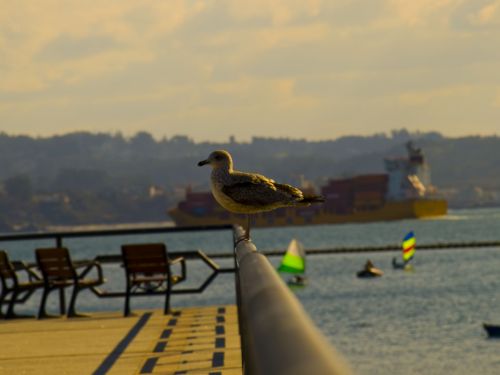 Fotografia de Madelman - Galeria Fotografica: variado - Foto: 